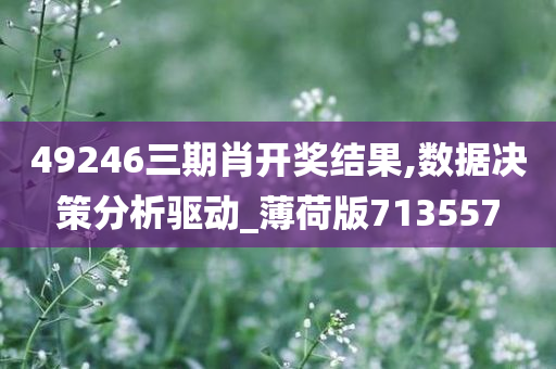 49246三期肖开奖结果,数据决策分析驱动_薄荷版713557