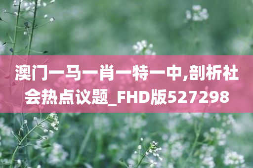 澳门一马一肖一特一中,剖析社会热点议题_FHD版527298