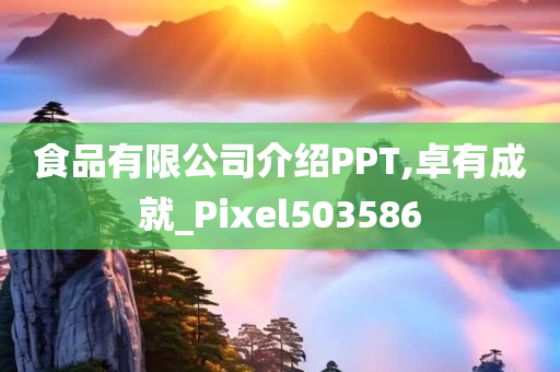 食品有限公司介绍PPT,卓有成就_Pixel503586