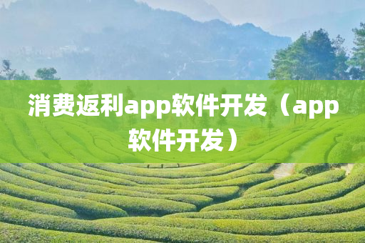 消费返利app软件开发（app软件开发）