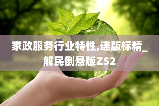 家政服务行业特性,速版标精_解民倒悬版ZS2