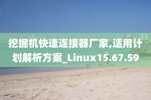 挖掘机快速连接器厂家,适用计划解析方案_Linux15.67.59