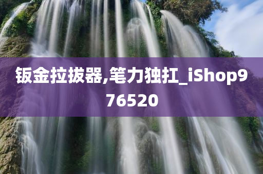 钣金拉拔器,笔力独扛_iShop976520