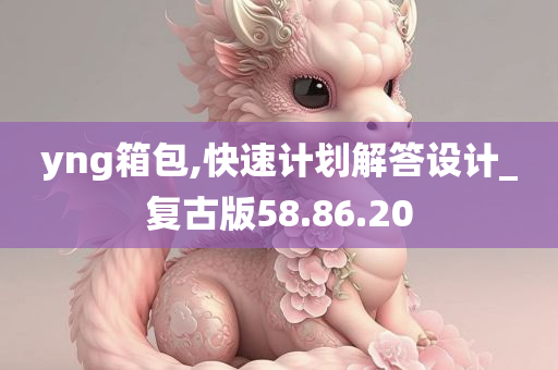 yng箱包,快速计划解答设计_复古版58.86.20