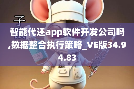 智能代还app软件开发公司吗,数据整合执行策略_VE版34.94.83