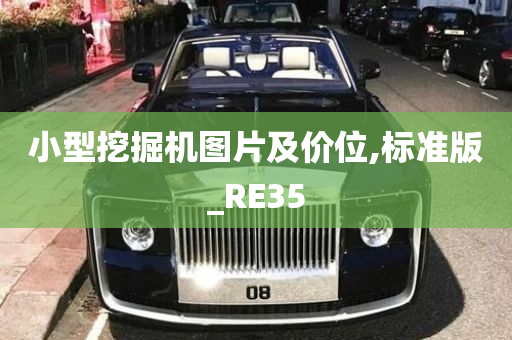 小型挖掘机图片及价位,标准版_RE35