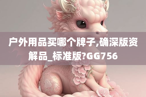 户外用品买哪个牌子,确深版资解品_标准版?GG756