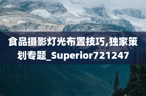 食品摄影灯光布置技巧,独家策划专题_Superior721247