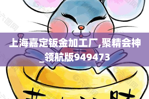 上海嘉定钣金加工厂,聚精会神_领航版949473