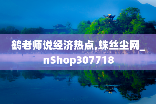 鹤老师说经济热点,蛛丝尘网_nShop307718