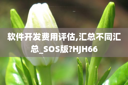 软件开发费用评估,汇总不同汇总_SOS版?HJH66