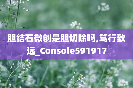 胆结石微创是胆切除吗,笃行致远_Console591917