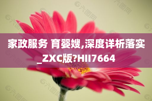 家政服务 育婴嫂,深度详析落实_ZXC版?HII7664