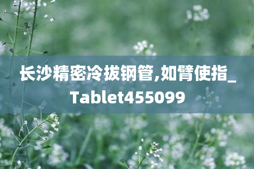 长沙精密冷拔钢管,如臂使指_Tablet455099