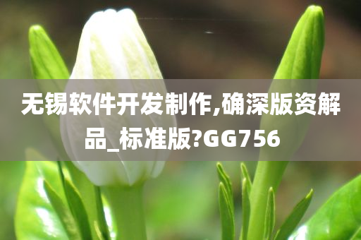 无锡软件开发制作,确深版资解品_标准版?GG756