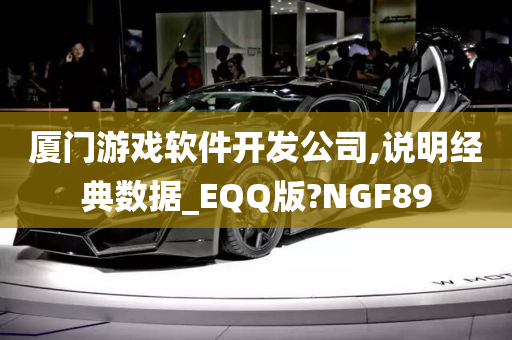 厦门游戏软件开发公司,说明经典数据_EQQ版?NGF89