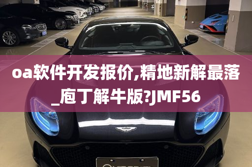 oa软件开发报价,精地新解最落_庖丁解牛版?JMF56