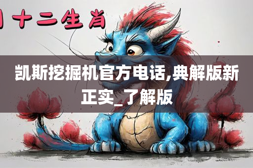 凯斯挖掘机官方电话,典解版新正实_了解版