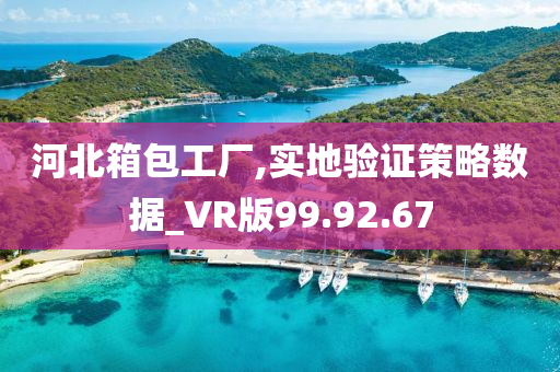 河北箱包工厂,实地验证策略数据_VR版99.92.67