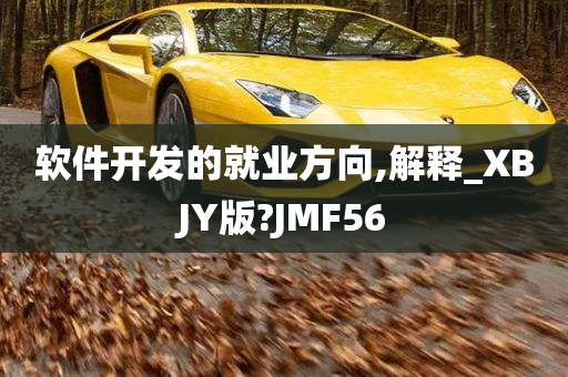 软件开发的就业方向,解释_XBJY版?JMF56