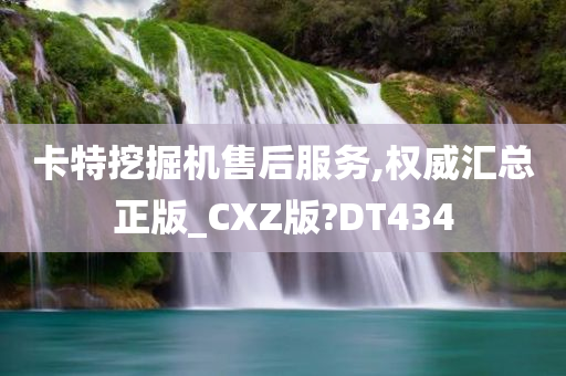 卡特挖掘机售后服务,权威汇总正版_CXZ版?DT434