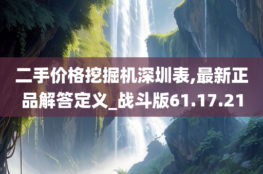 二手价格挖掘机深圳表,最新正品解答定义_战斗版61.17.21