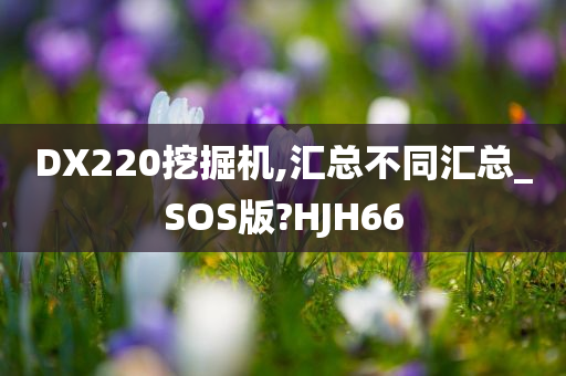 DX220挖掘机,汇总不同汇总_SOS版?HJH66