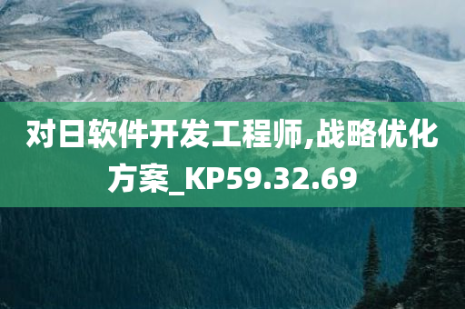 对日软件开发工程师,战略优化方案_KP59.32.69