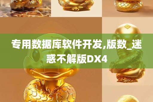 专用数据库软件开发,版数_迷惑不解版DX4