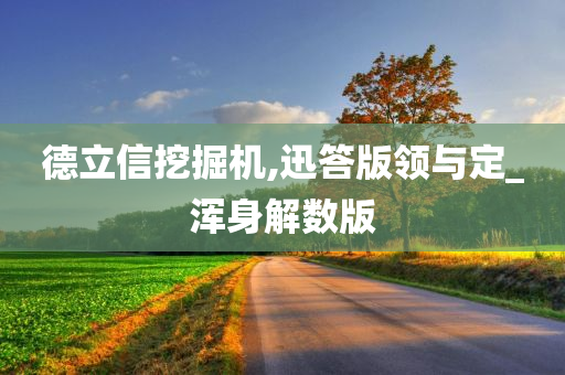 德立信挖掘机,迅答版领与定_浑身解数版