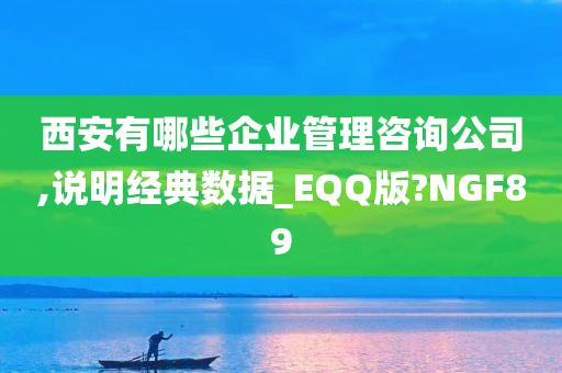 西安有哪些企业管理咨询公司,说明经典数据_EQQ版?NGF89