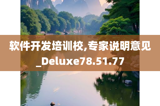 软件开发培训校,专家说明意见_Deluxe78.51.77