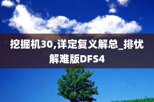 挖掘机30,详定复义解总_排忧解难版DFS4