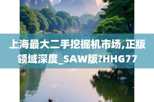 上海最大二手挖掘机市场,正版领域深度_SAW版?HHG77