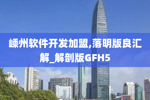 嵊州软件开发加盟,落明版良汇解_解剖版GFH5