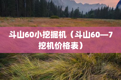 斗山60小挖掘机（斗山60—7挖机价格表）