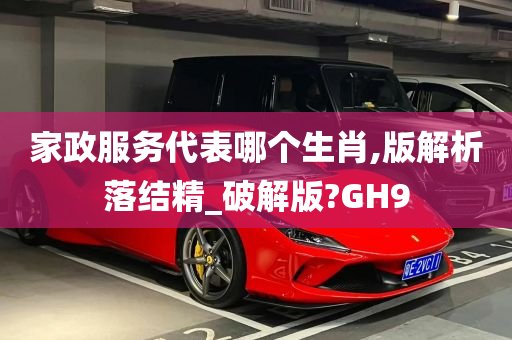 家政服务代表哪个生肖,版解析落结精_破解版?GH9