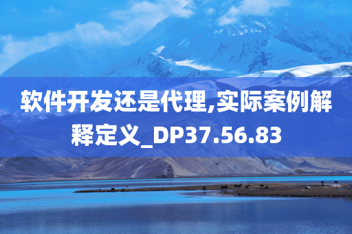 软件开发还是代理,实际案例解释定义_DP37.56.83