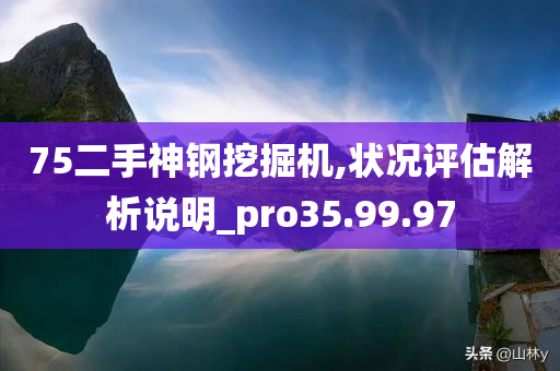 75二手神钢挖掘机,状况评估解析说明_pro35.99.97