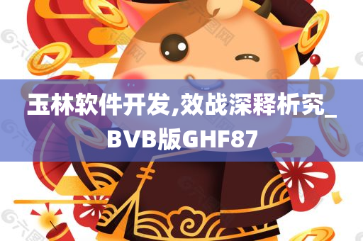 玉林软件开发,效战深释析究_BVB版GHF87