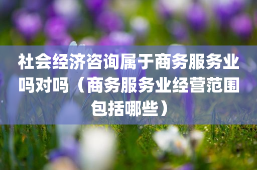 社会经济咨询属于商务服务业吗对吗（商务服务业经营范围包括哪些）