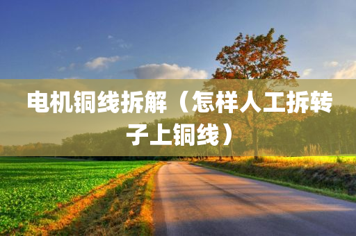 电机铜线拆解（怎样人工拆转子上铜线）