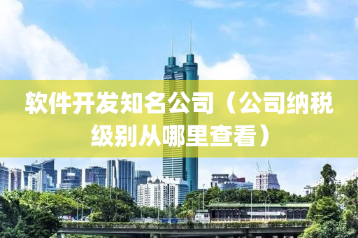 软件开发知名公司（公司纳税级别从哪里查看）