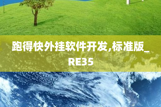 跑得快外挂软件开发,标准版_RE35