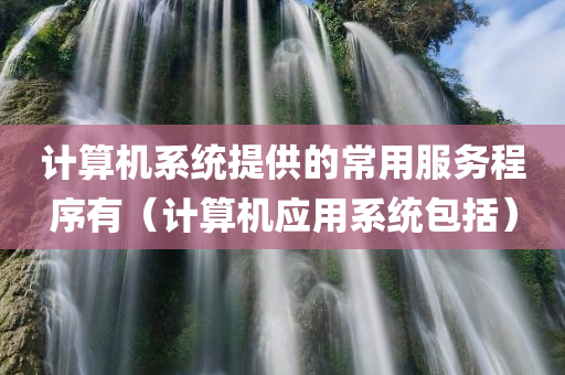 计算机系统提供的常用服务程序有（计算机应用系统包括）