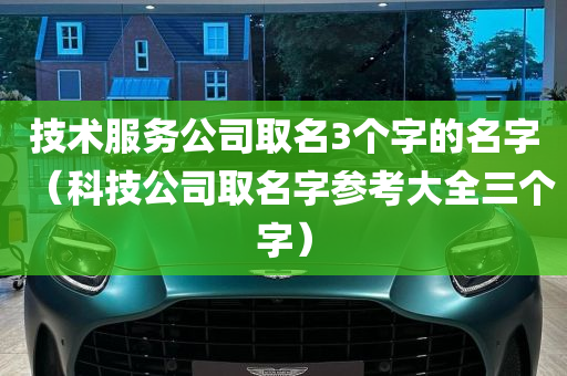 技术服务公司取名3个字的名字（科技公司取名字参考大全三个字）