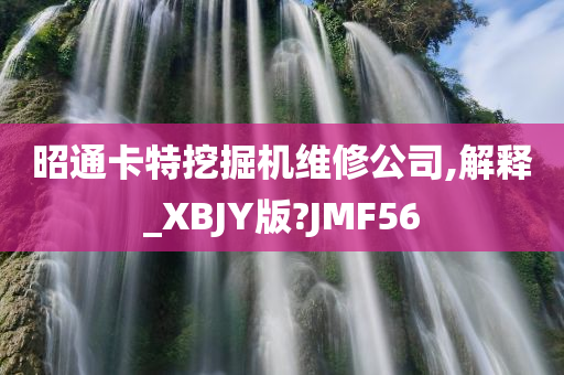 昭通卡特挖掘机维修公司,解释_XBJY版?JMF56