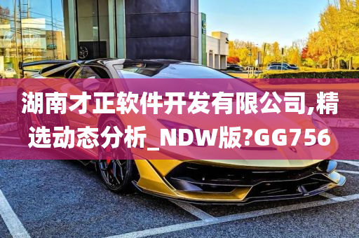 湖南才正软件开发有限公司,精选动态分析_NDW版?GG756