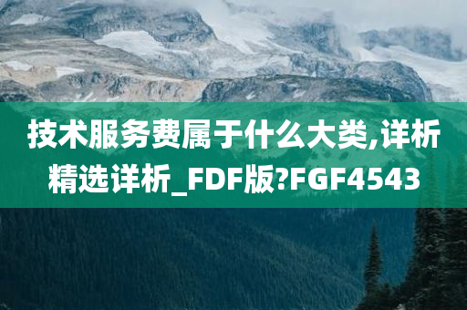 技术服务费属于什么大类,详析精选详析_FDF版?FGF4543