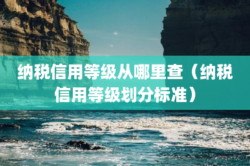 纳税信用等级从哪里查（纳税信用等级划分标准）